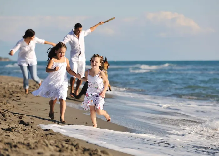 Hotel Hotel Hollywood Rimini