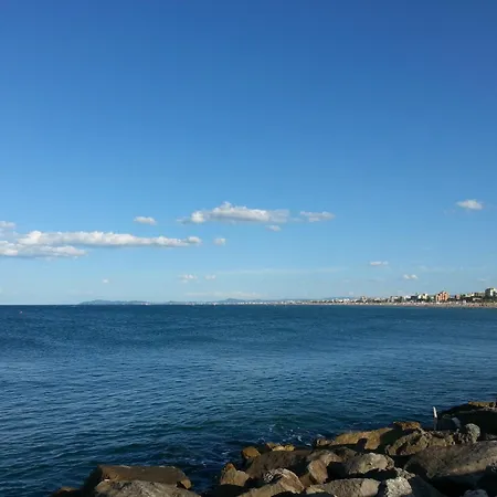 Hollywood فندق 3*